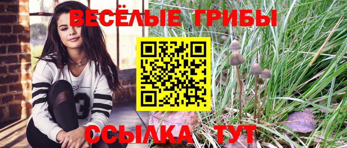 Галлюциногенные грибы Cubensis Елец