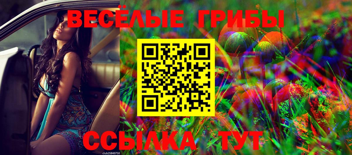 Елец  Псилоцибиновые грибы ЛСД  Галлюциногенные грибы ЛСД  Вход с VPN 